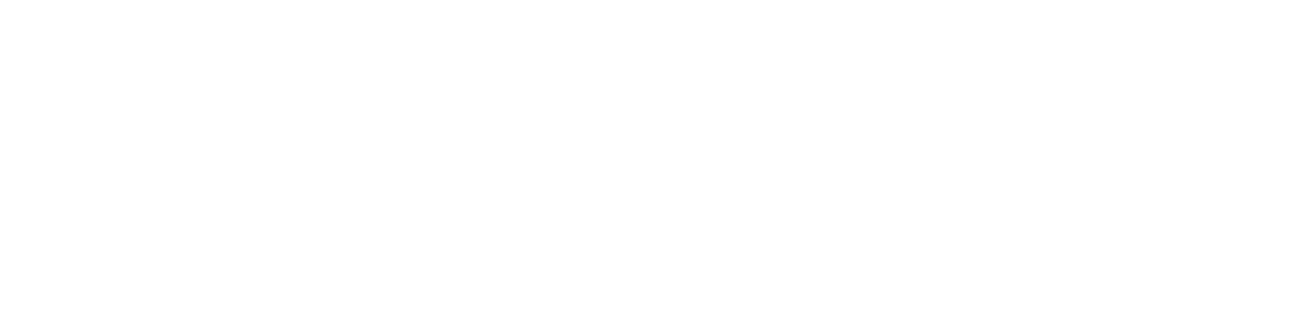 Augentis LLC